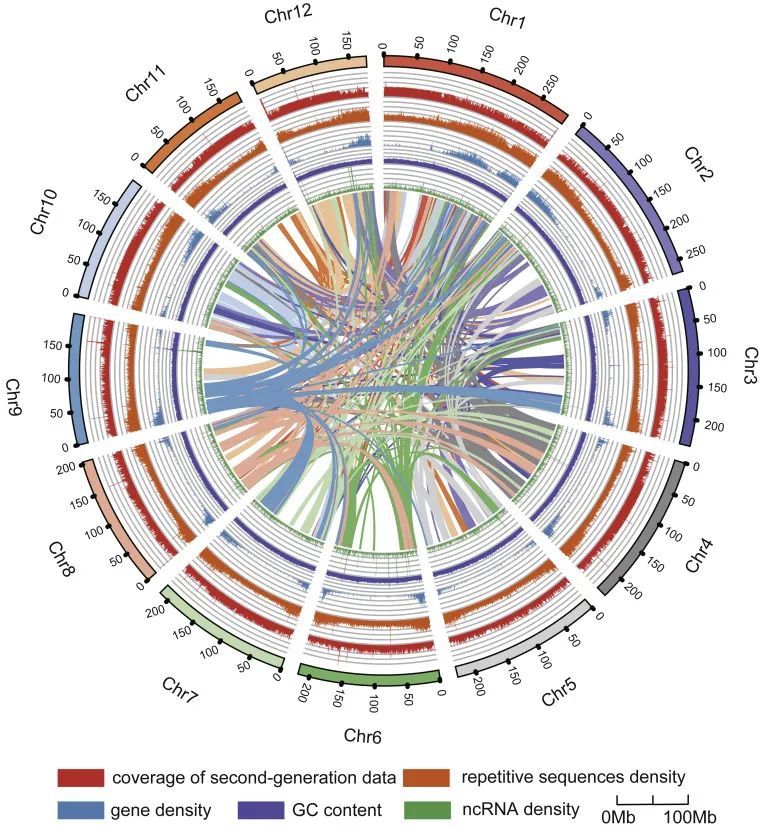 and preventing ros-induced disturbance to ion homeostasisqi wu