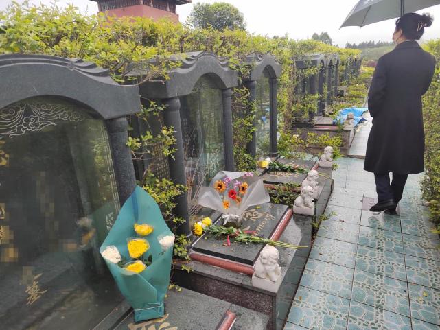 后的一大片生态型墓园,漫山遍野的新绿之中是一座座整整齐齐的墓碑