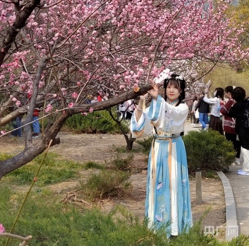 圖集|清明踏春 人面桃花相映紅