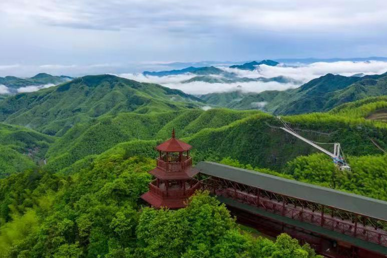 浙江省武义县有哪些镇,金华武义旅游景点都有哪些-出走网