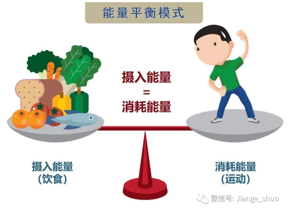 得到广泛认可的理论是"能量平衡模型,就是每天摄入的能量>每天消耗的