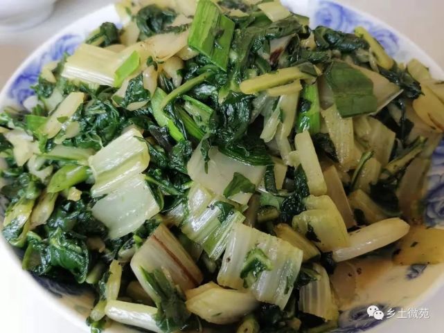 乡间美食根达菜既普通又好吃的蔬菜