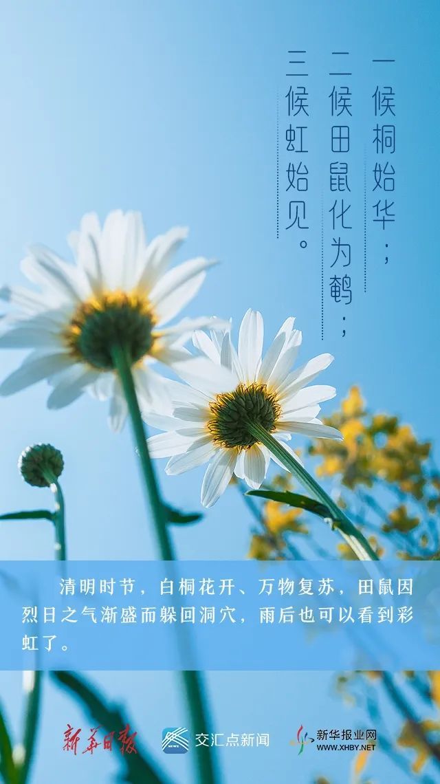 风起正清明思上心头来