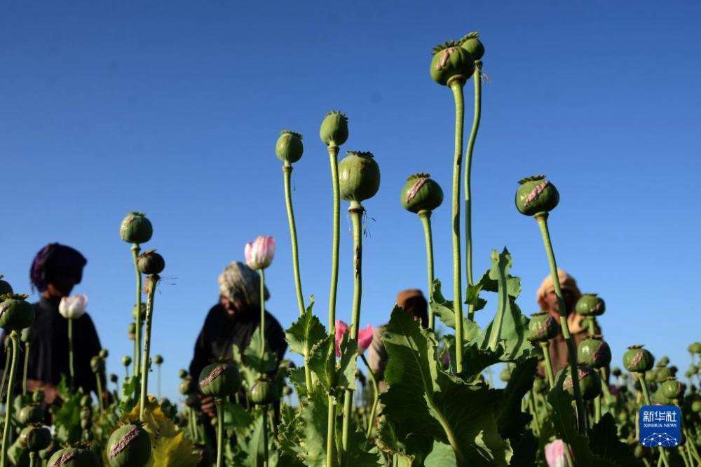 圣彼得堡悼念地铁恐袭案遇难者如何使用网上银行转账