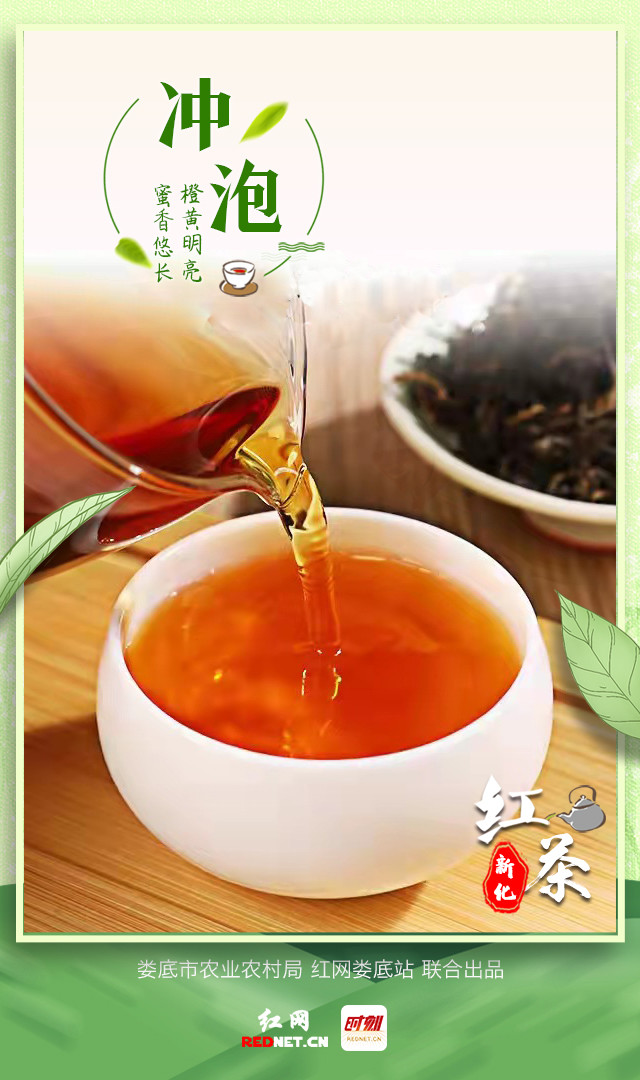 一县一特丨新化红茶茶韵天成湖红之源