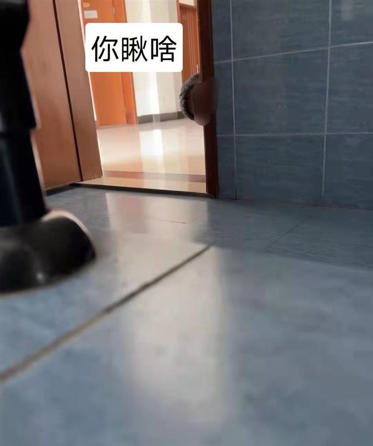 南京一高校男教师涉嫌偷窥女厕：已被停职，校网删除其个人简介iPhone如何让壁纸动起来
