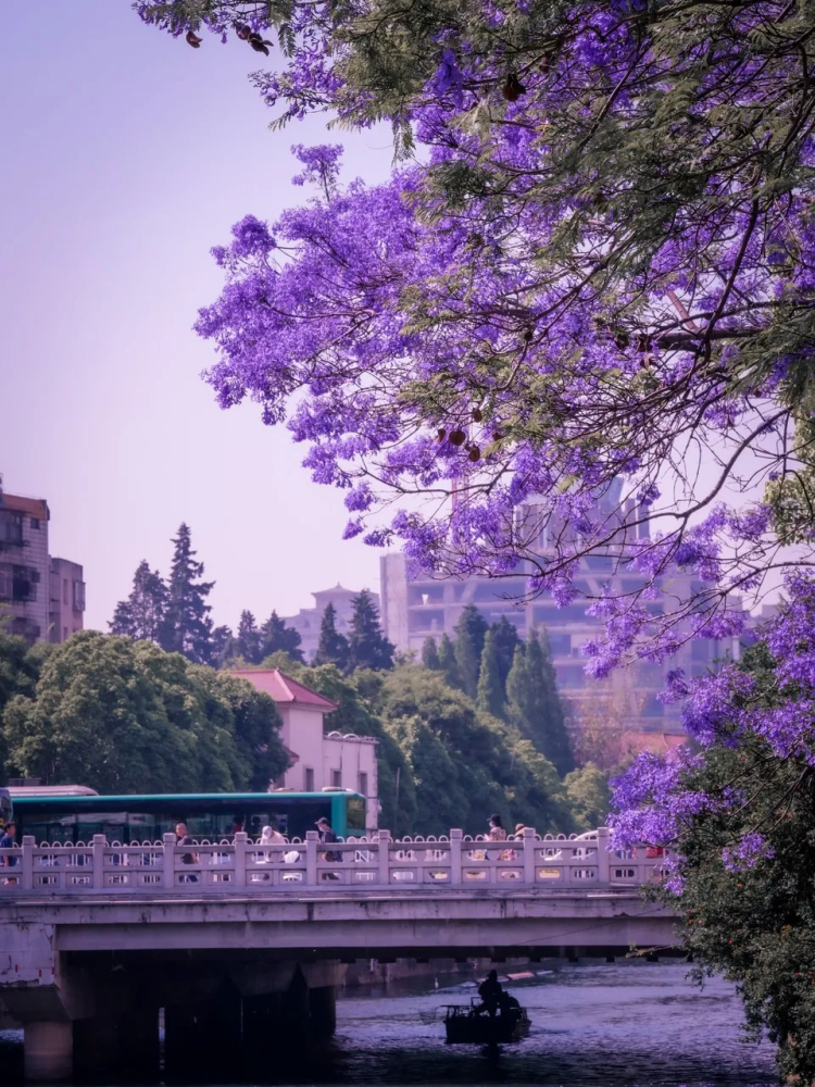 昆明是"春城",但不止"春城"_腾讯新闻