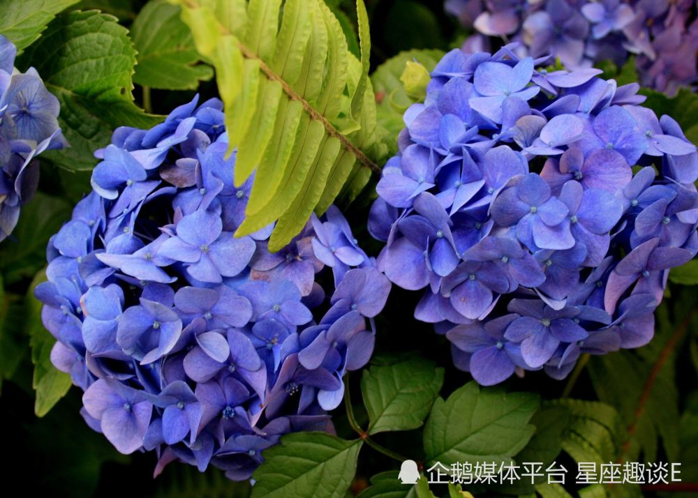 4月6日星座运势 稳扎稳打 迎来曙光的四大星座 天天看点