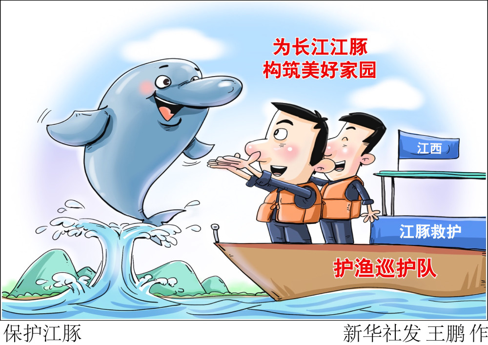 图表漫画经济保护江豚