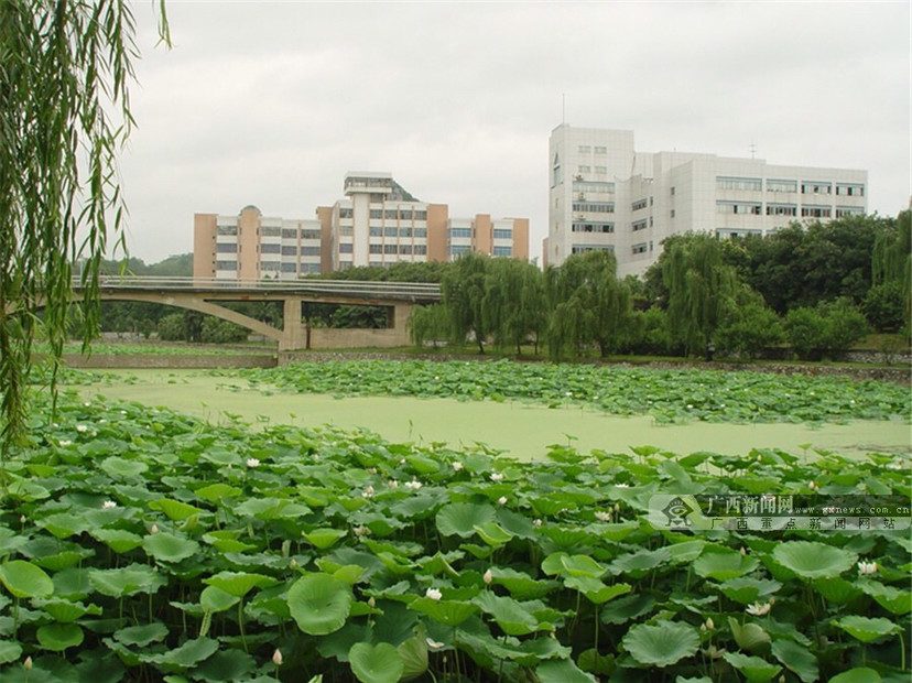 廣西大學狗洞18年曆史讓人懷念的是青春