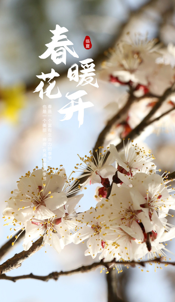 海报丨春暖花开奔你而来
