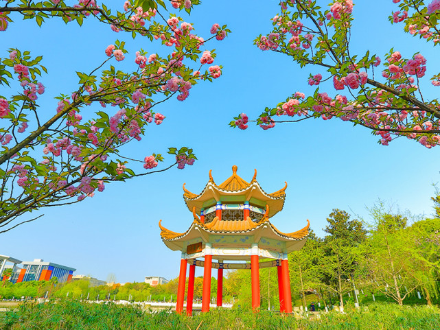 西南政法大学:设有公安类提前批招生,双学位专业录取高达645分