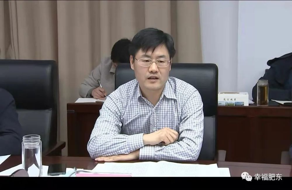 县领导姚飞,王书武,王伟程,黄敏,吴刚出席会议.肥东县召开重点