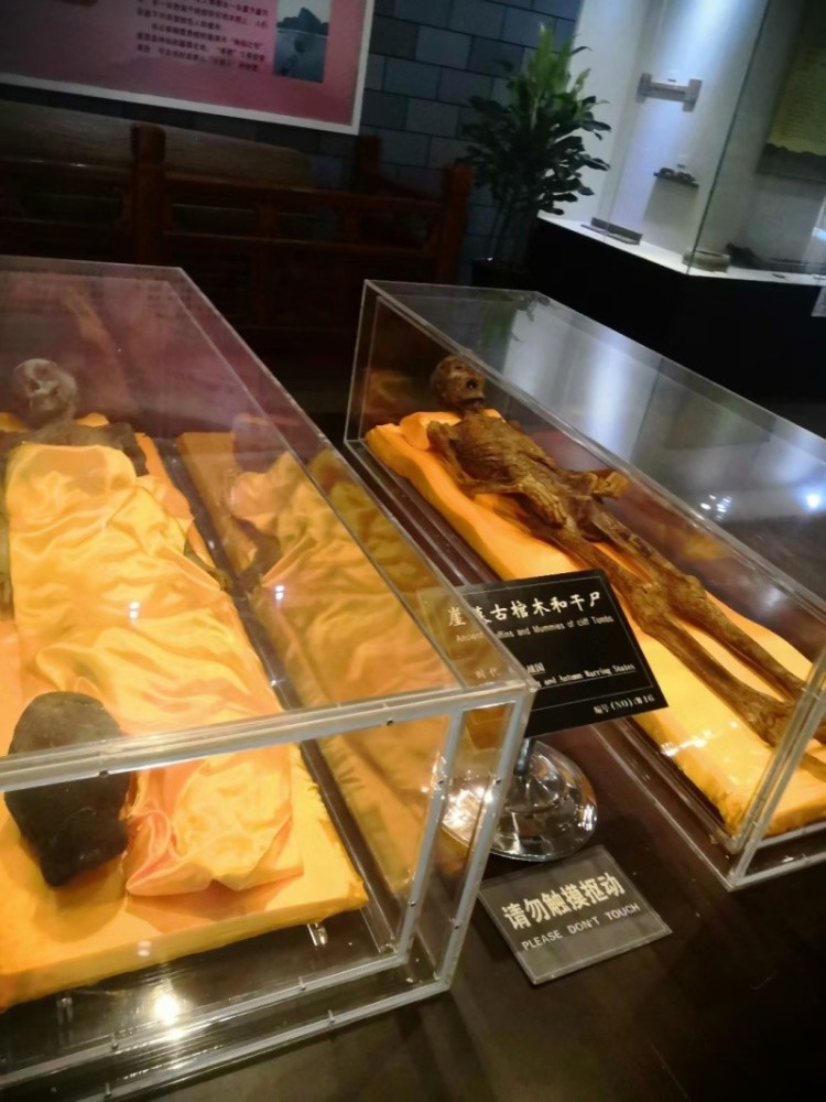 江西龙虎山,千年墓葬与山融为一体,悬棺表演令人称奇_腾讯新闻