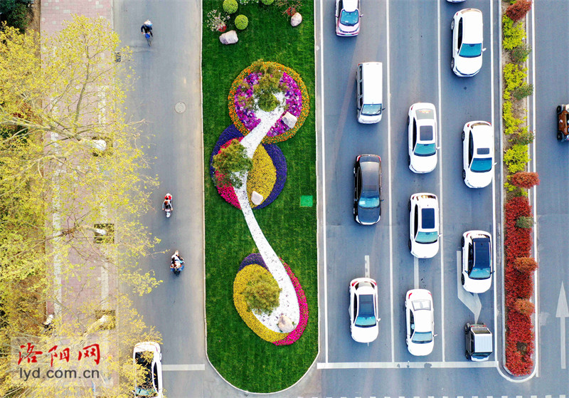 洛阳188处道路绿化提升改造完成【高清图集】_腾讯新闻