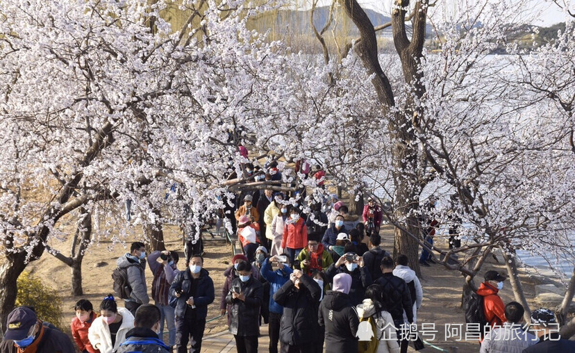 清明节假期，北京颐和园惊现人山人海：成为全国游客最多的景区怎么设置新的密码杨洋语文网课怎么样2023已更新(网易/知乎)怎么设置新的密码杨洋语文网课怎么样