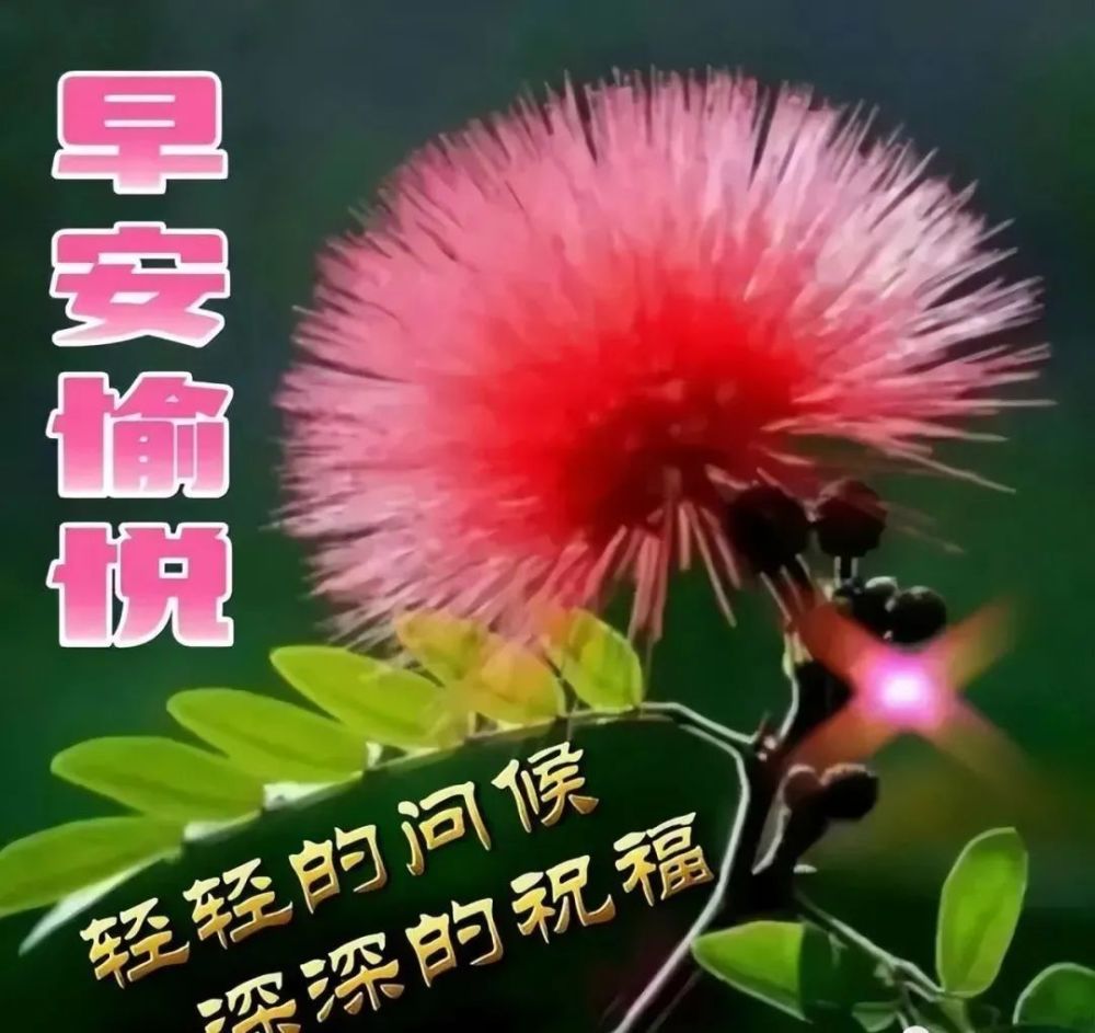 適合發給朋友親人的早上好圖片祝福好友早安的溫馨句子