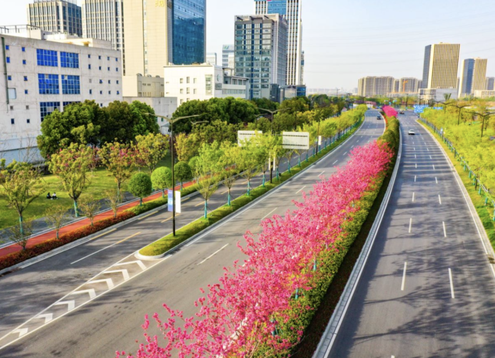 浦滨路图片