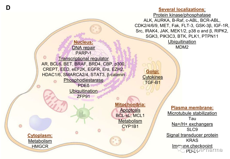 和 cdk 4;aurka,plk1,转录(cdk9 和 brd4,细胞信号传导(pi3kc3,ptpn