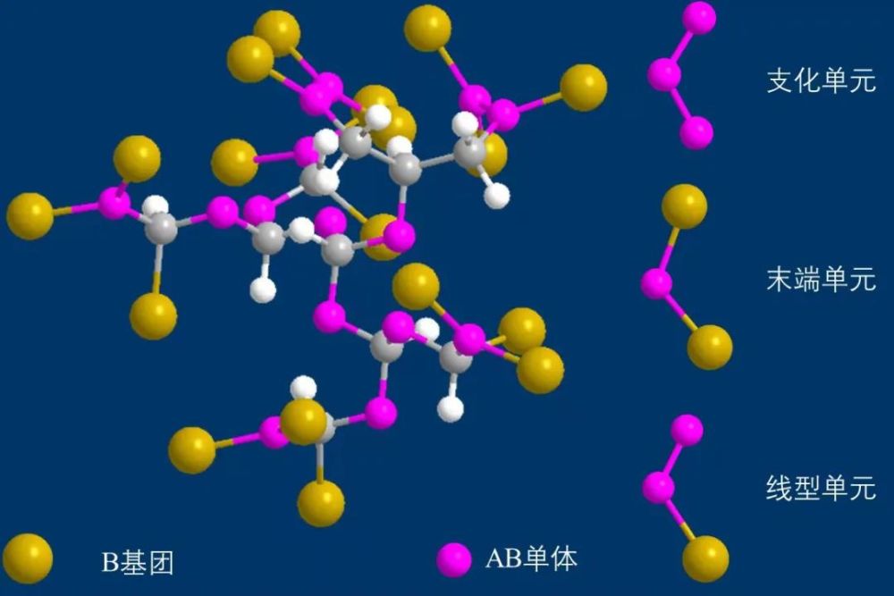 一般由 abx 型單體制備,聚合物分子中存在大量未完全反應的b基團.