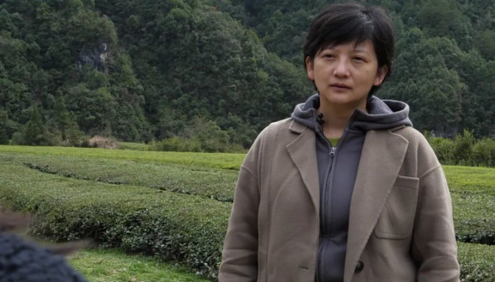 王新法的女儿王婷如今,在谢淼和王婷的努力之下,薛家村的茶厂终于建立