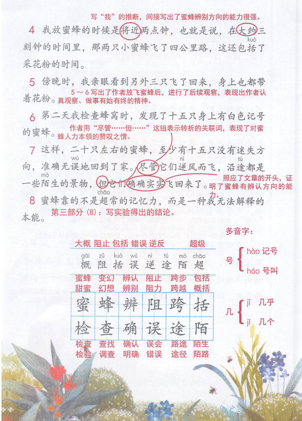 蜜蜂知识点 蜜蜂知识点总结
