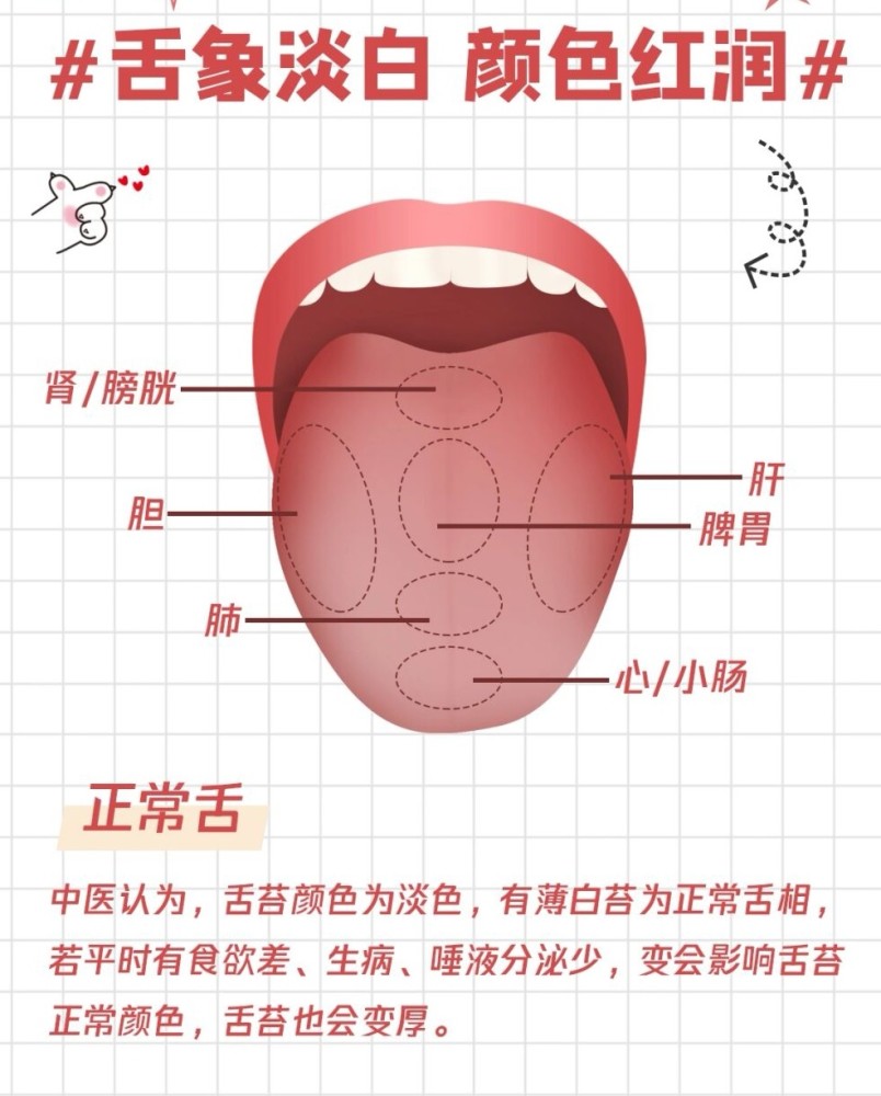 一张图让你简单看懂中医舌诊 腾讯新闻