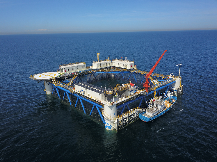 2021年我国海洋经济总量首次突破9万亿元海运进出口总额同比增长224