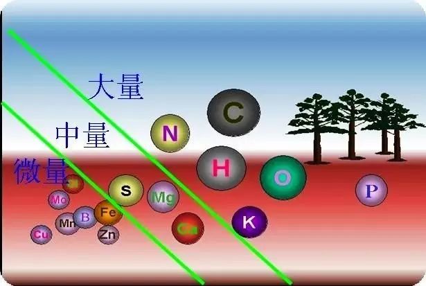 據調查,我國85%左右的耕地嚴重缺乏中微量元素,向土壤中補充中微量