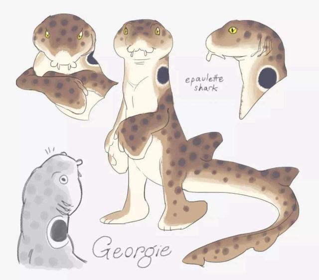 行走的肩章鲨,野心不只是海洋,展示了鲨鱼家族恐怖的进化能力