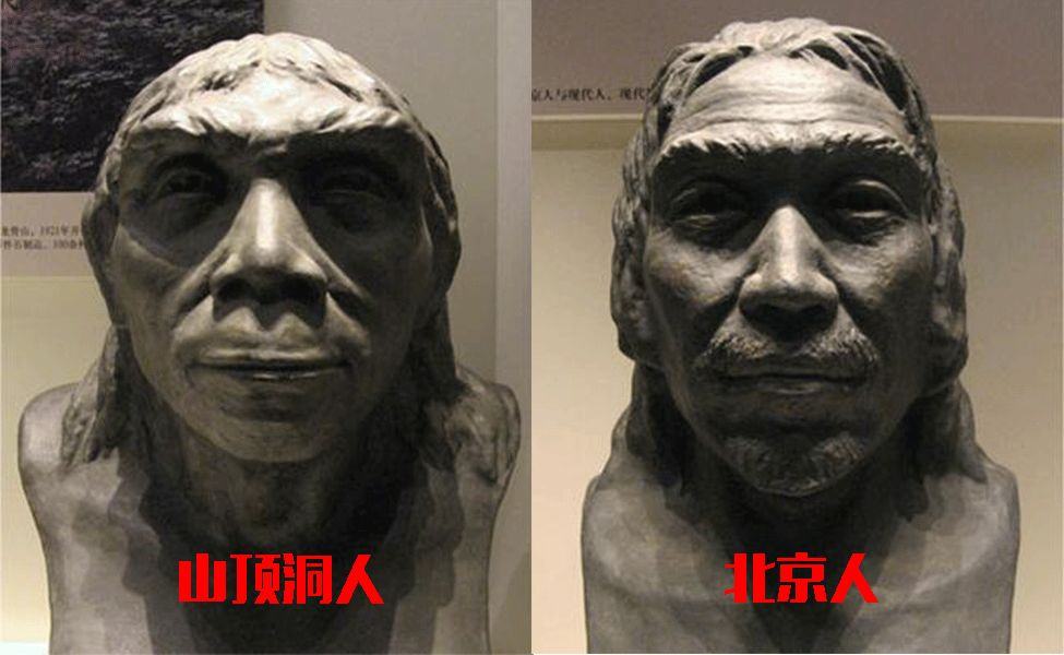 脸上的这3个细节决定了你美不美,全占的女人长相很高级插图4