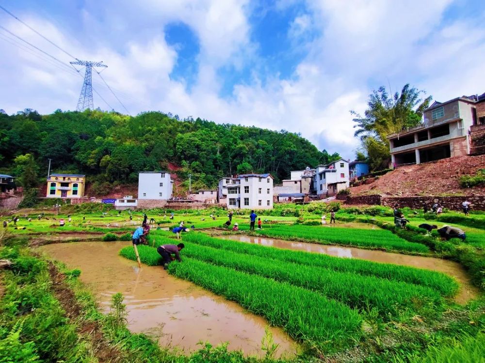 红河县垤玛乡抢抓农时全力做好春耕生产