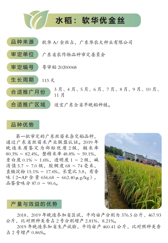 水稻19香水稻粤禾丝苗水稻粤美占水稻南晶香占水稻华航48号水稻南优占