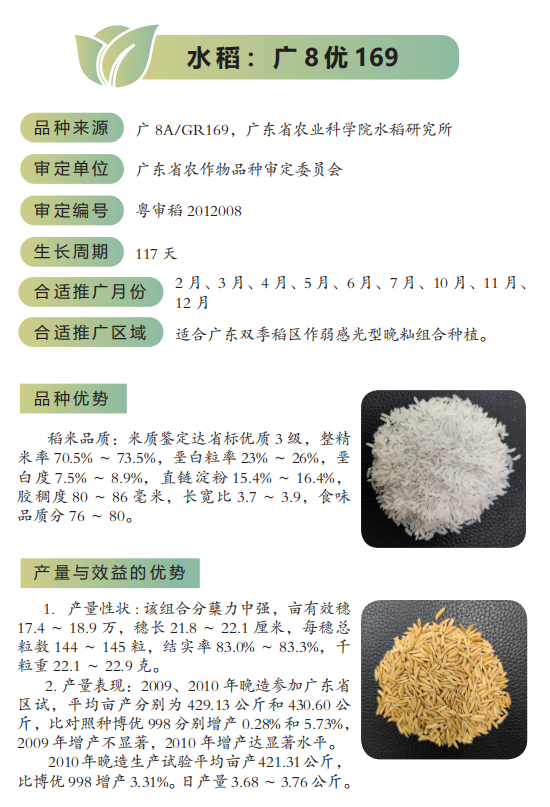 今年水稻主导品种和主推技术都有哪些?一文告诉你!