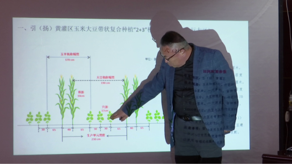 青铜峡市农业农村局开展玉米大豆带状复合种植技术培训