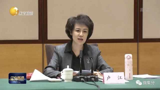 辽宁工作组组长,国家疾控局副局长,中国疾控中心党委书记卢江主持会议