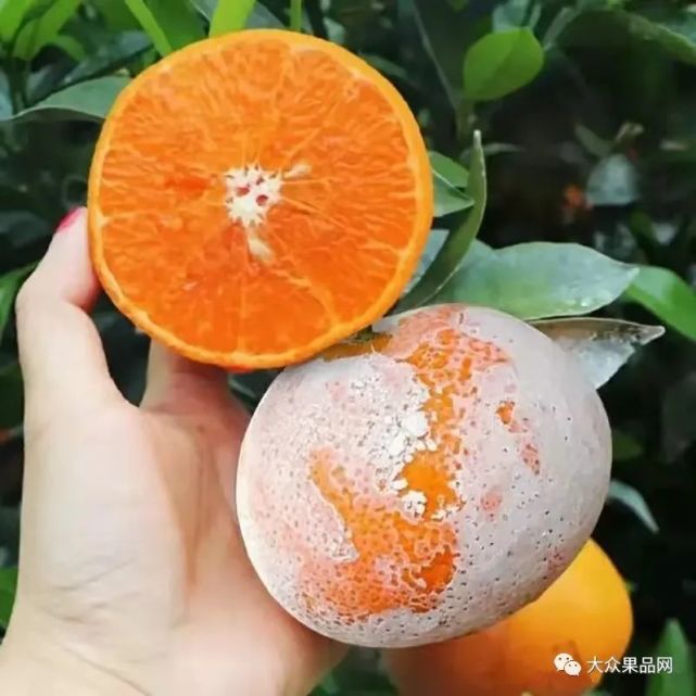 脏脏橘表面白白的什么东西,还能吃吗