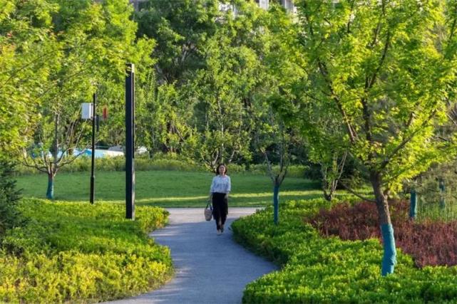 瑞金这里将建公园绿地,休闲广场