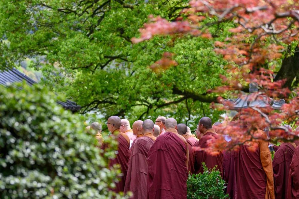 庐山东林寺僧众清明扫塔祭祖