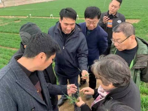 「新书推荐」长安街读书会第20220401期干部学习新书书单昆虫英语