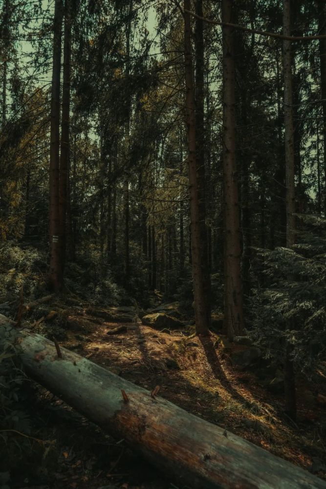 颠覆视觉这样的ins调色太太太迷人