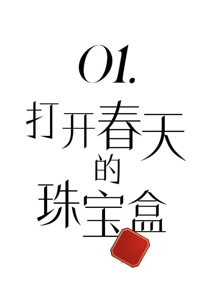 东北人民隔离在家也太排面了，爱马仕疯狂下单！杨洋作文还是乘风作文好2023已更新(头条/今日)