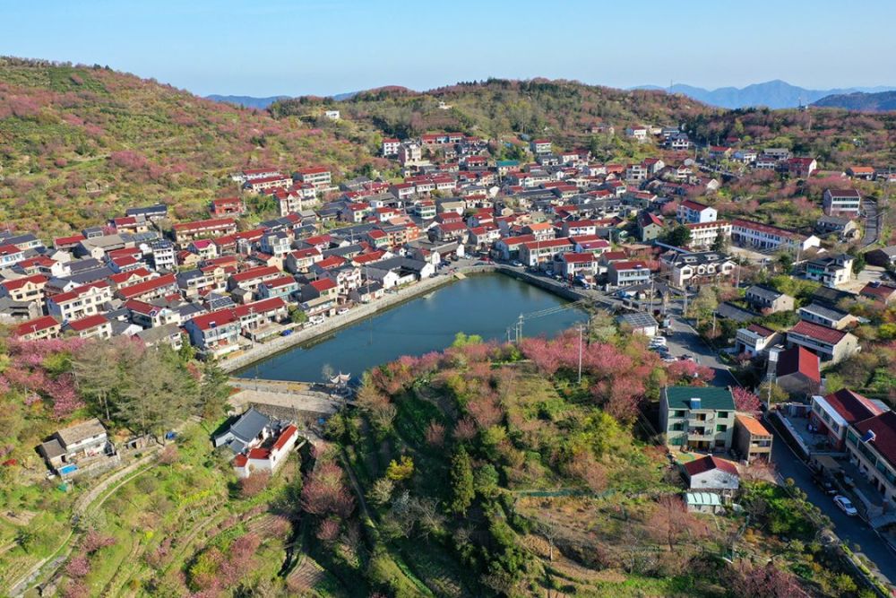 上虞友人快乐飞翔提醒颖之,宁波市余姚市四明山镇芦田村后的水库