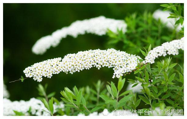 4天内 趁他还在 真心再动 痴迷旧爱 回头追逐 余生永相 财运 运势 命宫