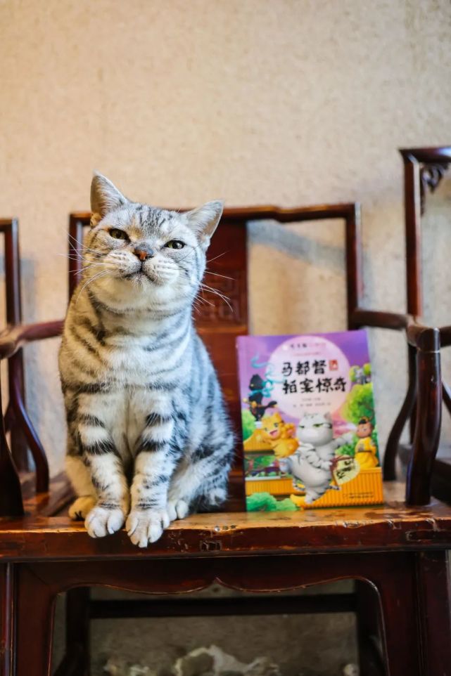 《观复猫小学馆》第二辑是以讲述文物知识为特色的漫画书.