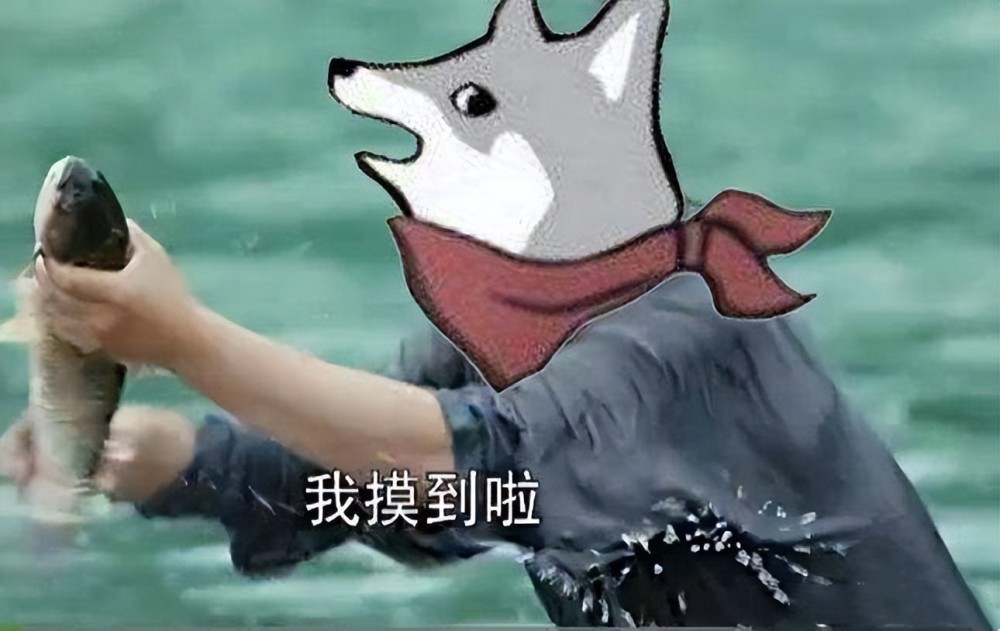 【CF】终结者和生化猎手不断新增角色，会不会出独特的游戏配合语文哪个网校教得好2023已更新(微博/头条)语文哪个网校教得好