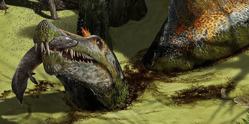 棘龙潜水是你逃不脱的宿命