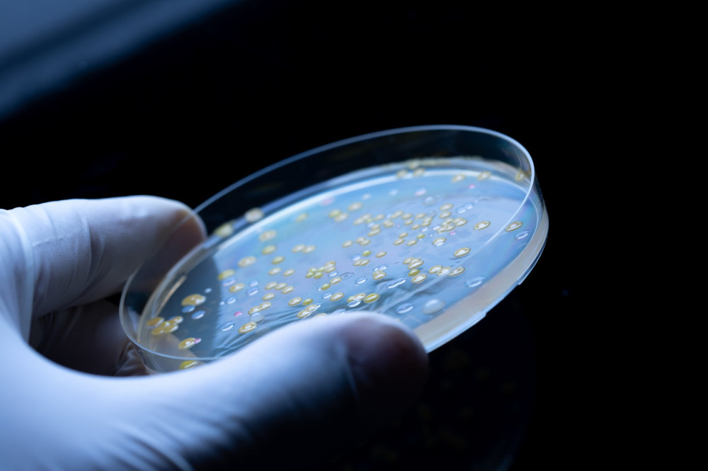 免疫紊乱如何解死菌活菌临床试验均获重要进展