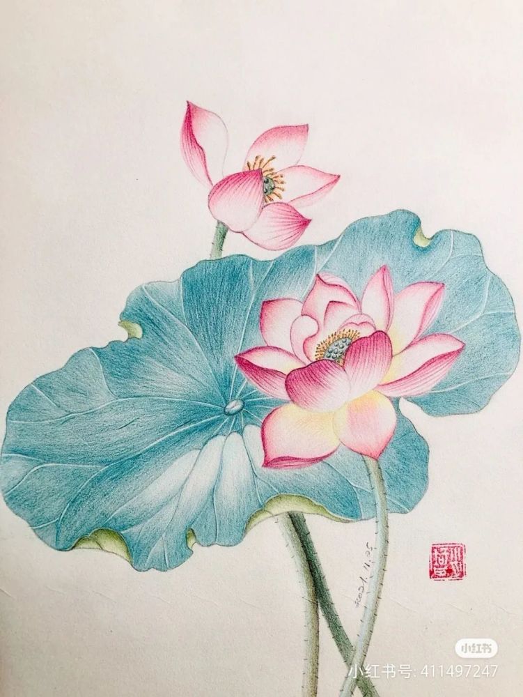 第二组是荷花彩铅作品,除了内容选题上比较古风外,整个画面的构图和用
