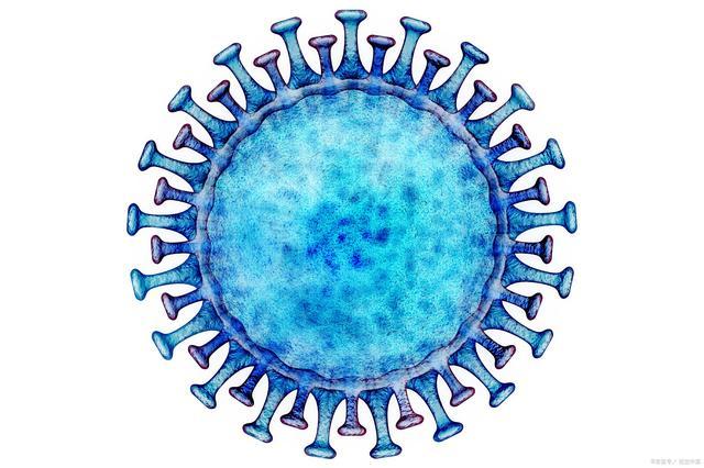 新型冠状病毒你了解多少